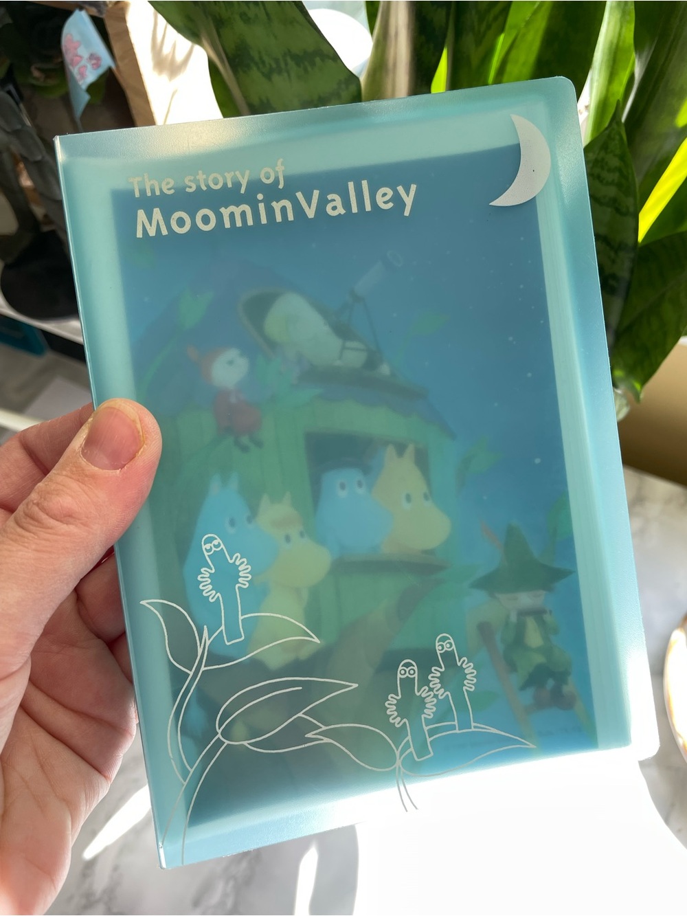 Vintage 90s Moomin Valley POSTCARD FILE FOLDER